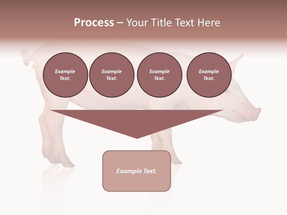 Meat Ear Side PowerPoint Template