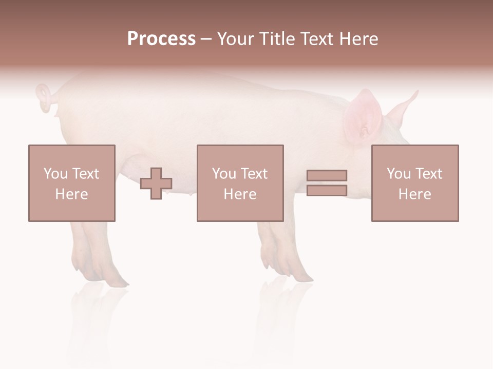 Meat Ear Side PowerPoint Template