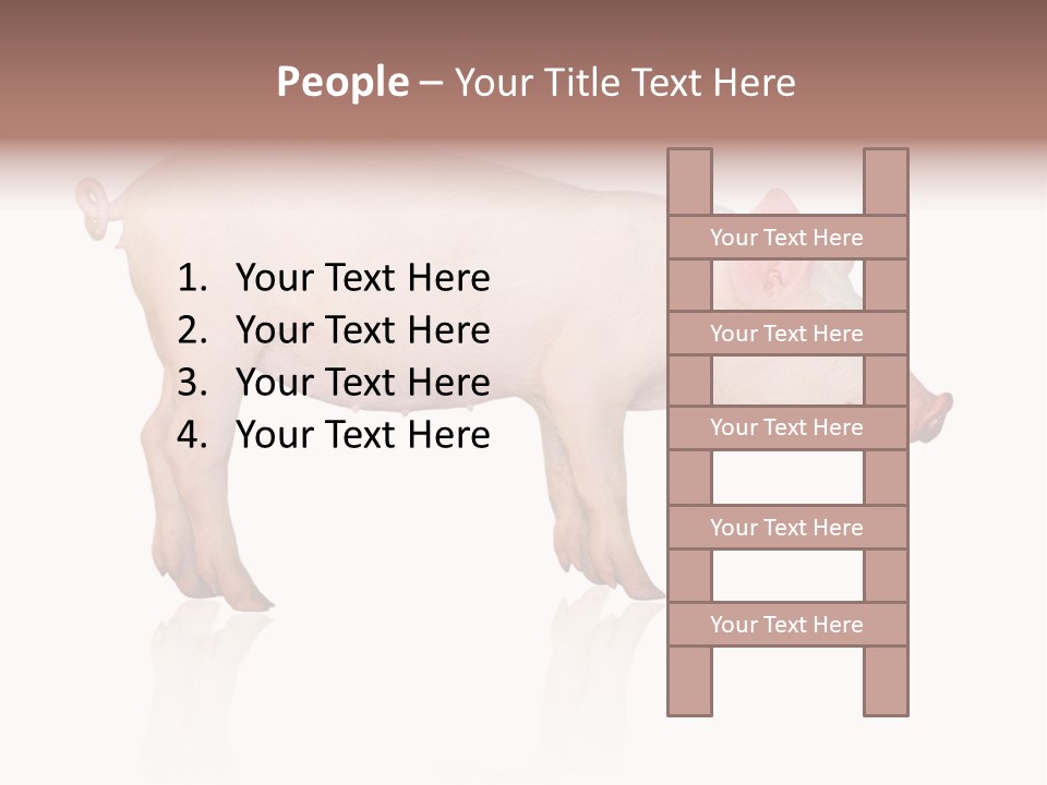 Meat Ear Side PowerPoint Template