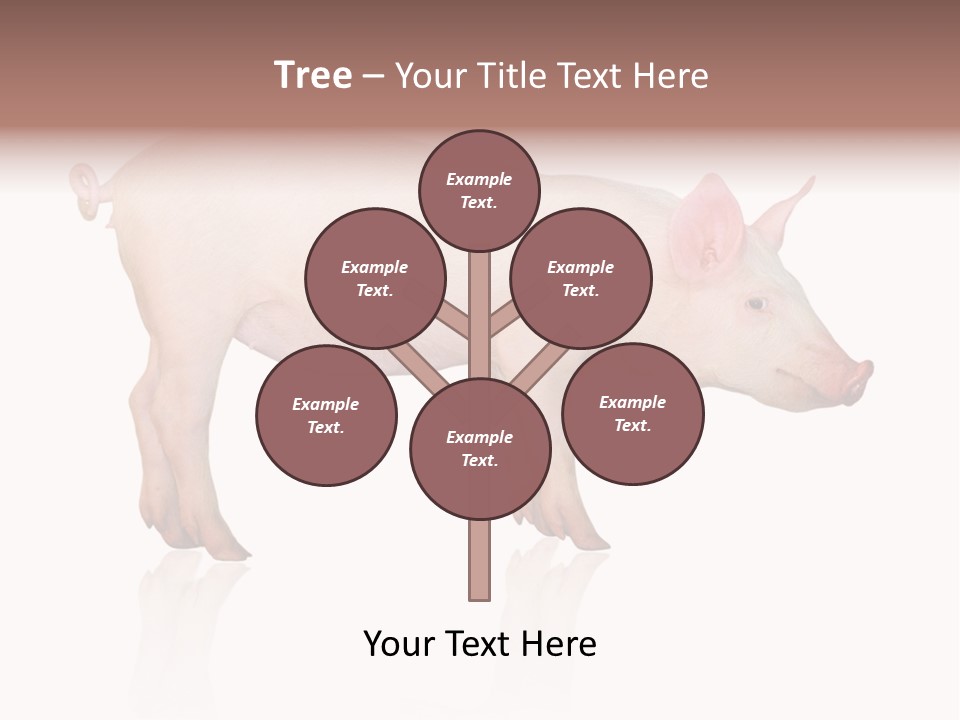 Meat Ear Side PowerPoint Template