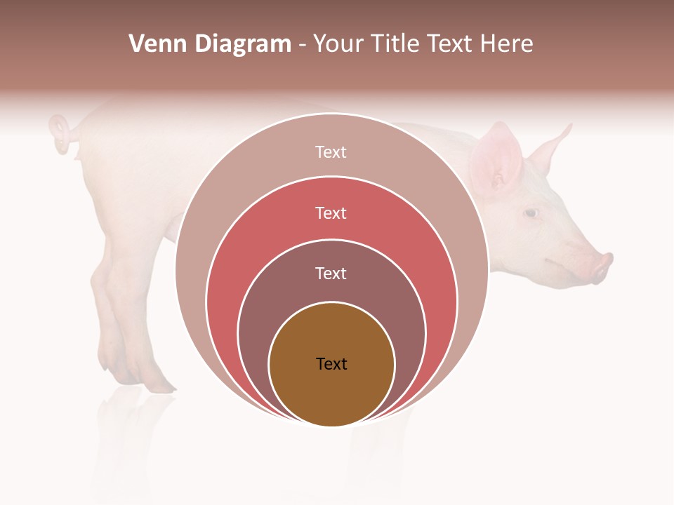 Meat Ear Side PowerPoint Template