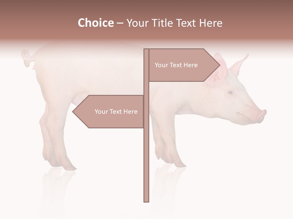 Meat Ear Side PowerPoint Template