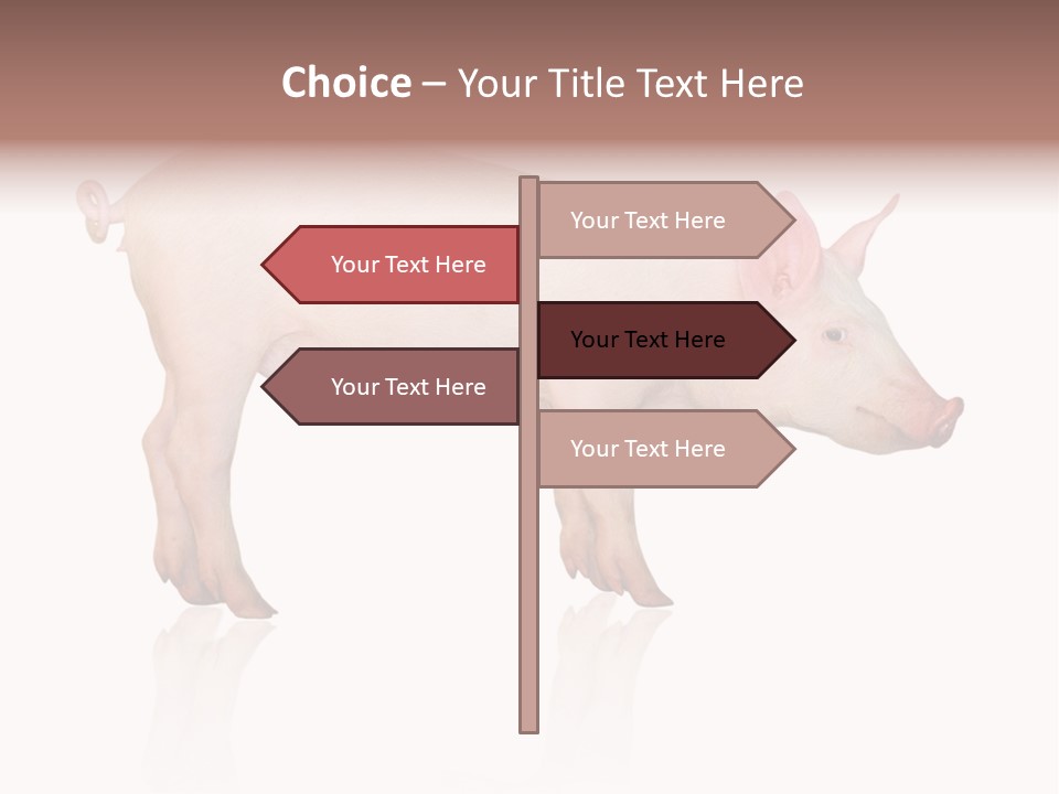 Meat Ear Side PowerPoint Template