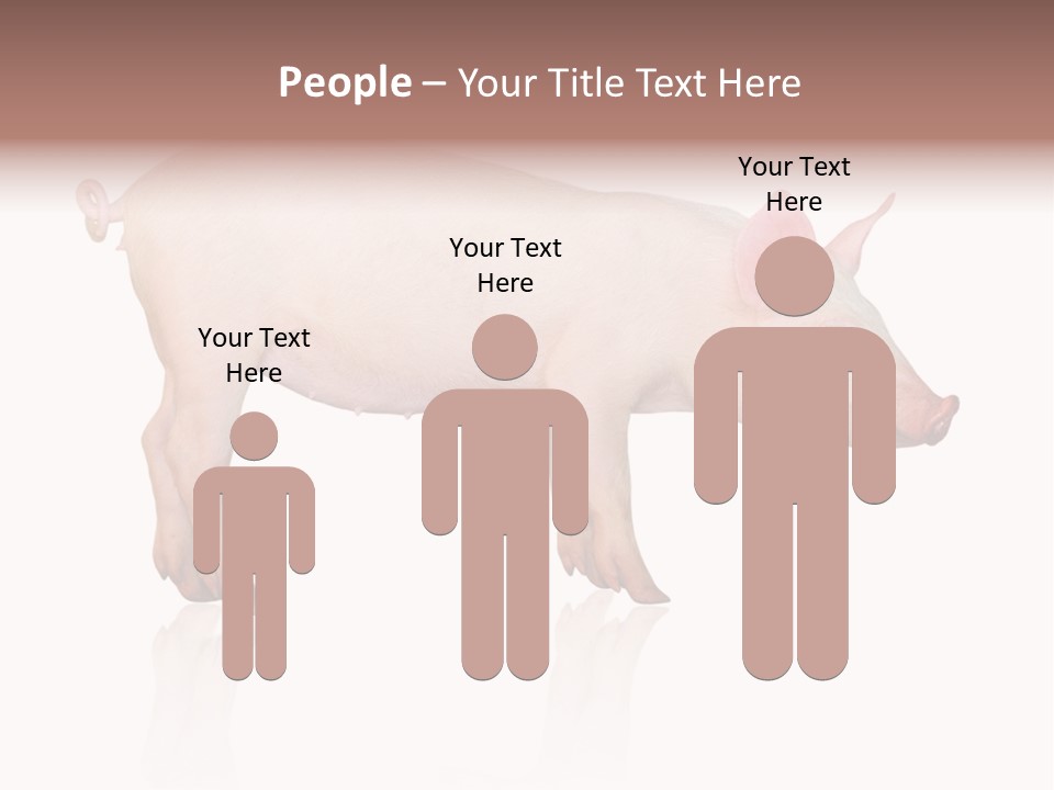 Meat Ear Side PowerPoint Template