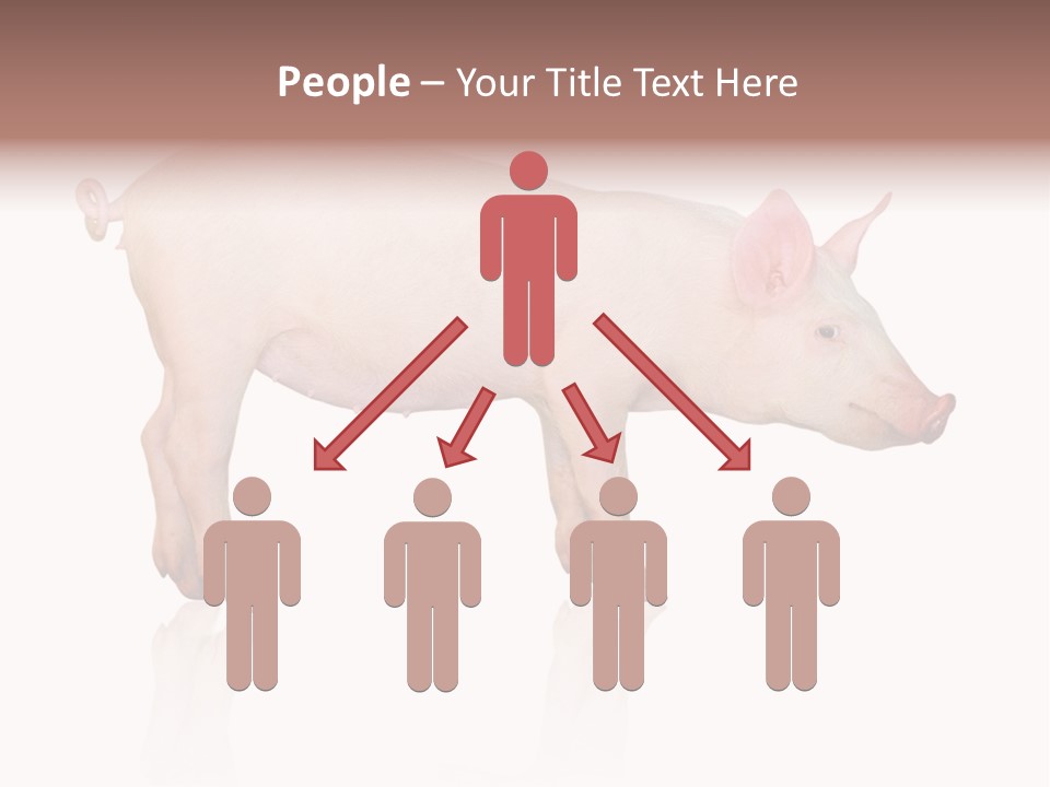 Meat Ear Side PowerPoint Template