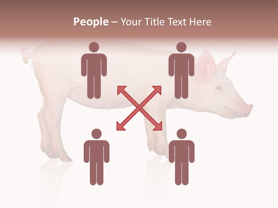 Meat Ear Side PowerPoint Template