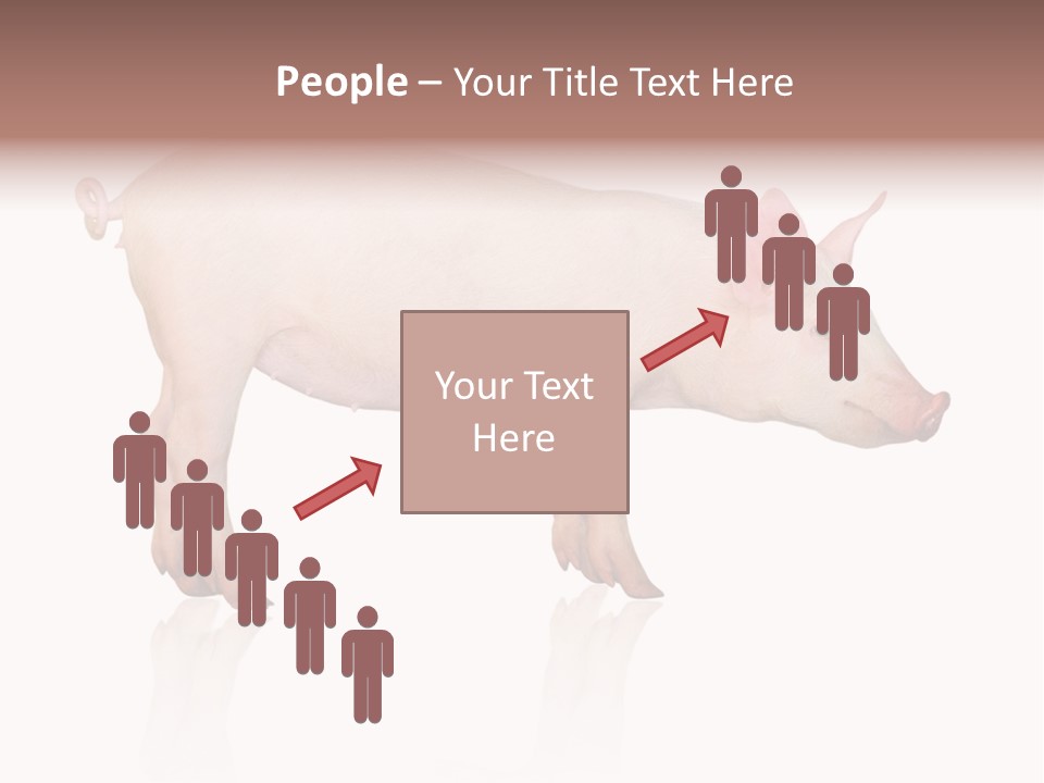 Meat Ear Side PowerPoint Template