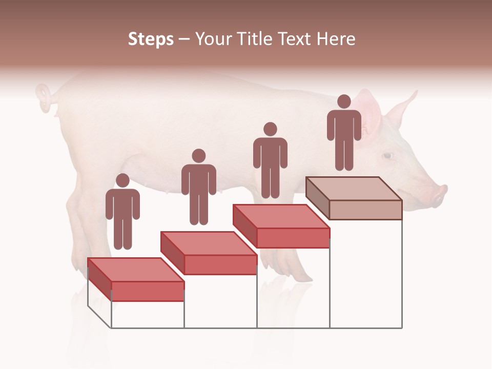 Meat Ear Side PowerPoint Template