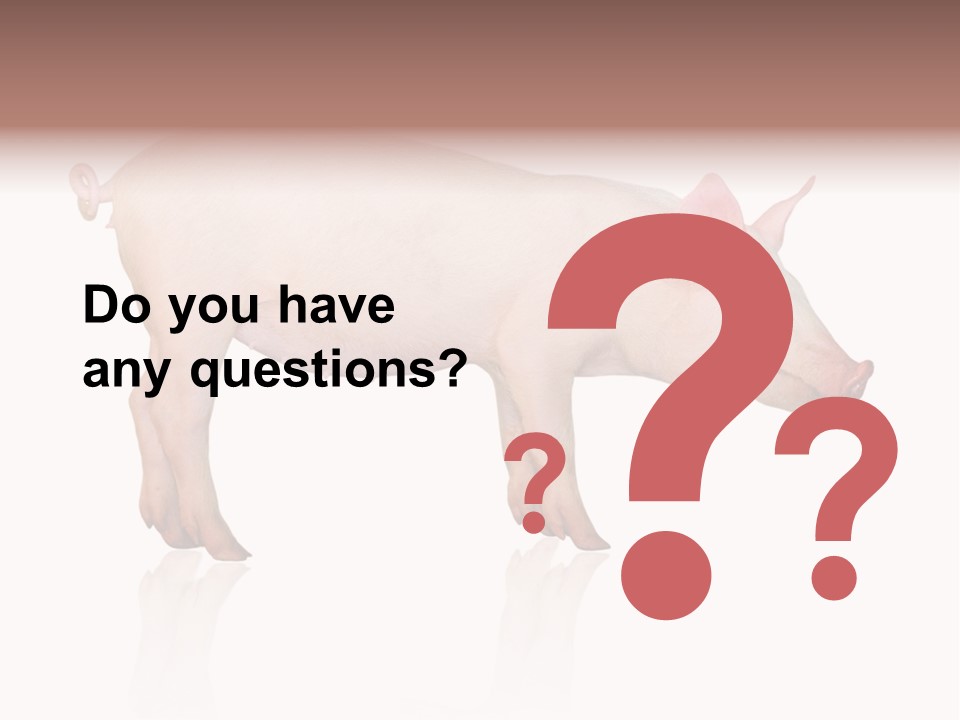 Meat Ear Side PowerPoint Template