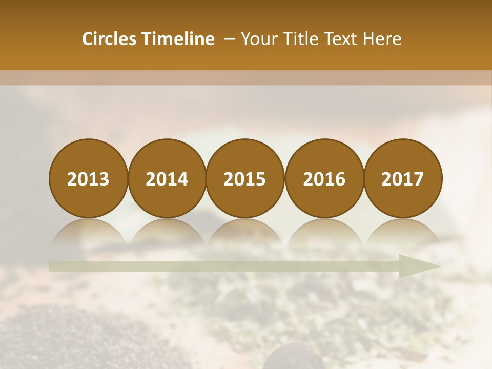 Natural Delicious Salt PowerPoint Template