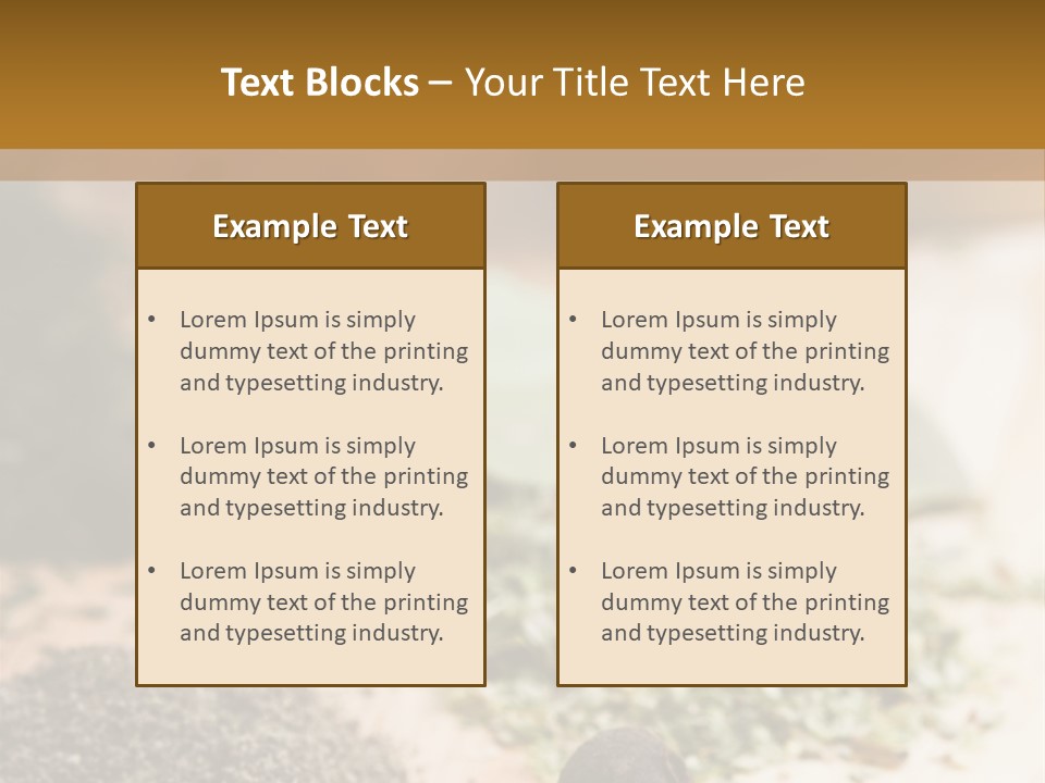 Natural Delicious Salt PowerPoint Template