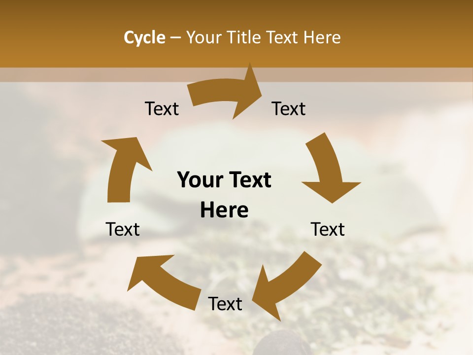 Natural Delicious Salt PowerPoint Template