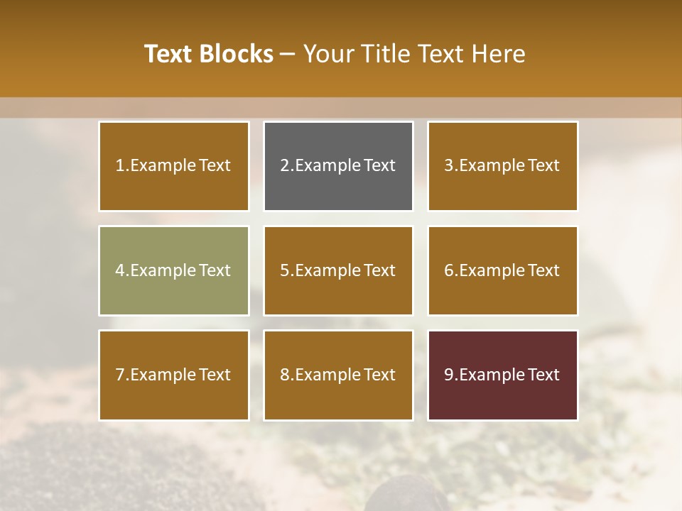 Natural Delicious Salt PowerPoint Template