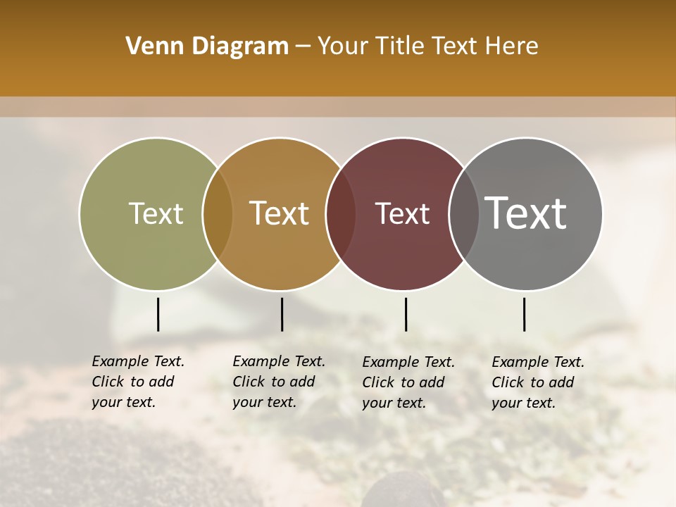 Natural Delicious Salt PowerPoint Template