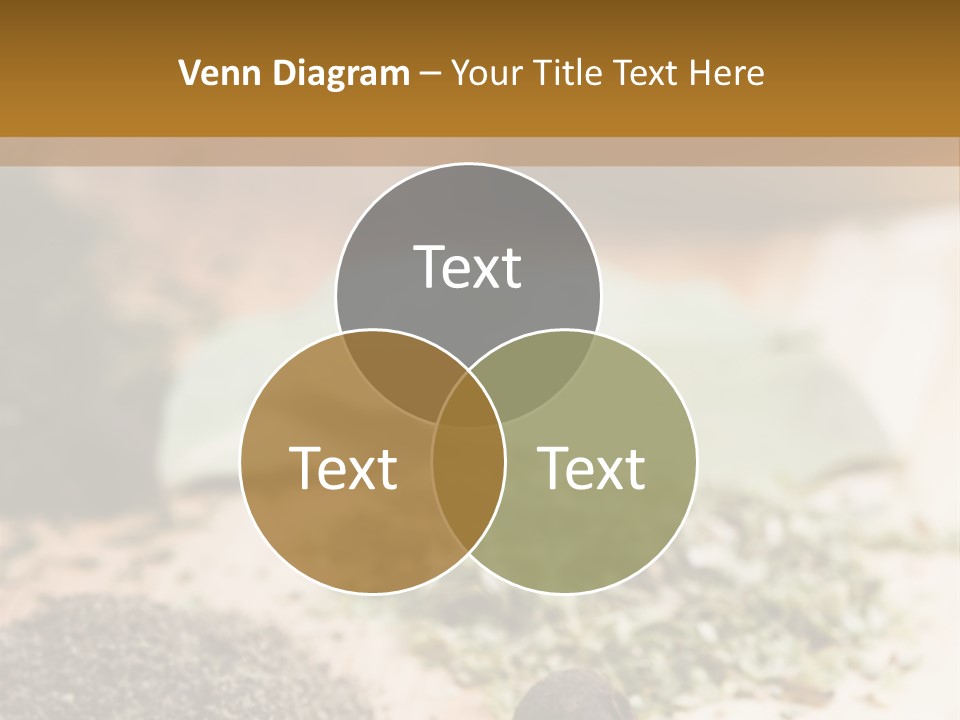 Natural Delicious Salt PowerPoint Template