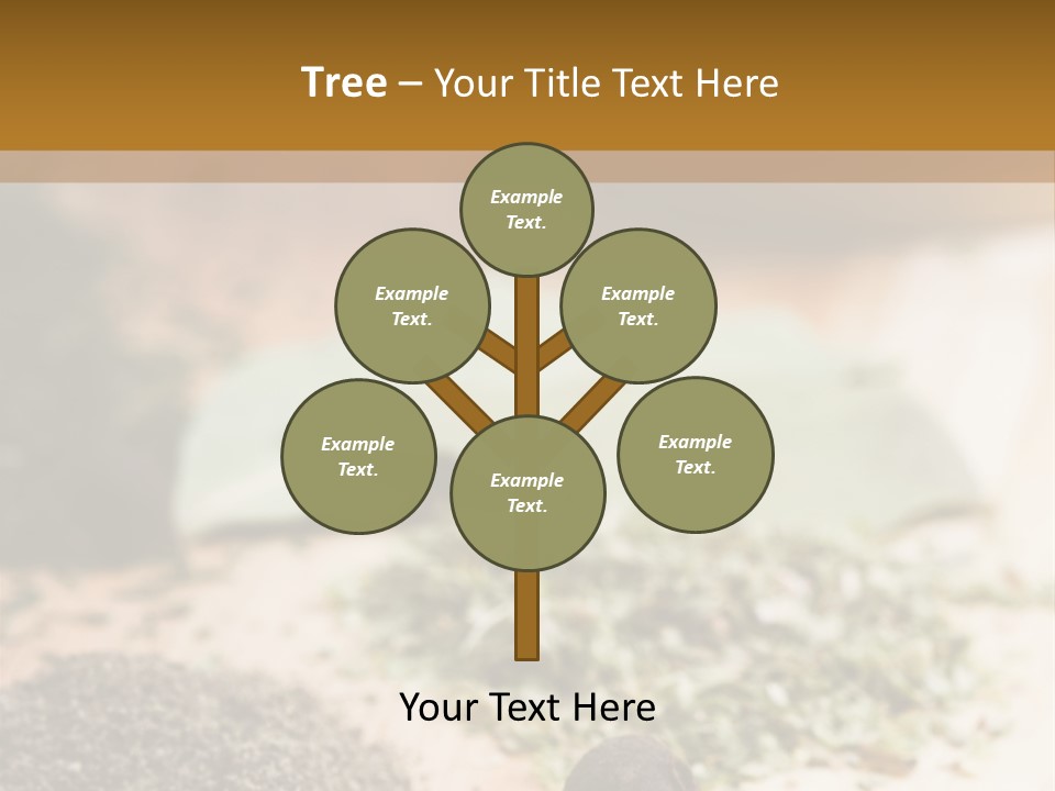 Natural Delicious Salt PowerPoint Template