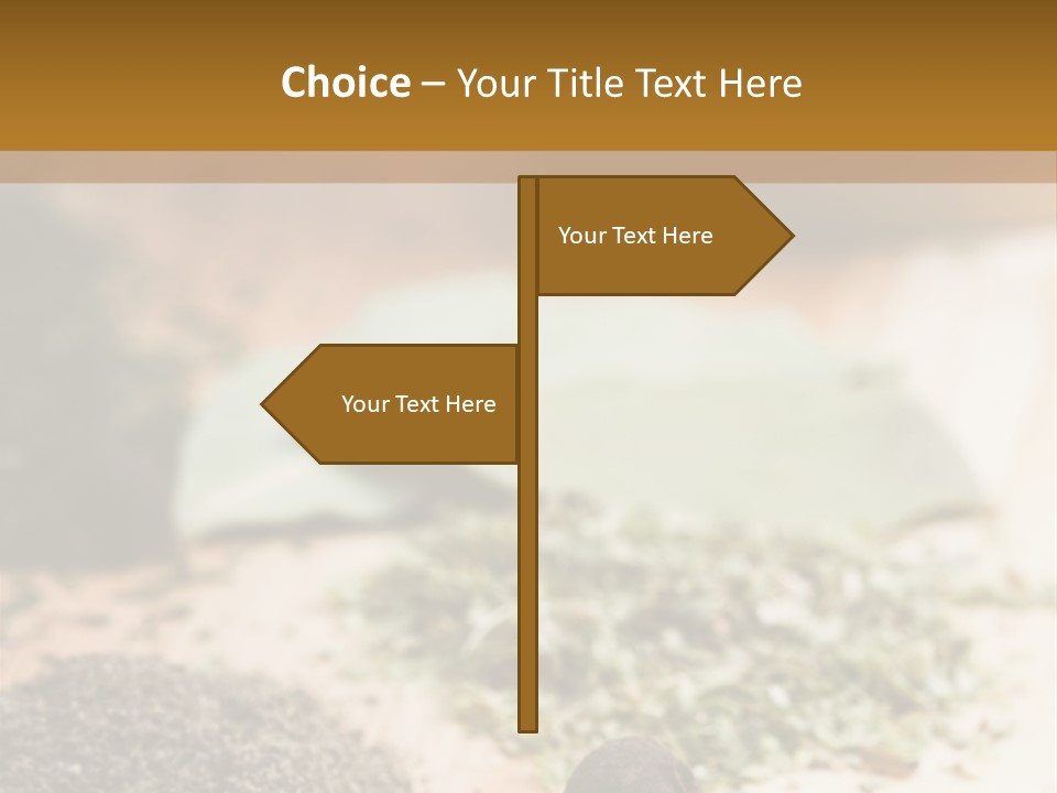 Natural Delicious Salt PowerPoint Template