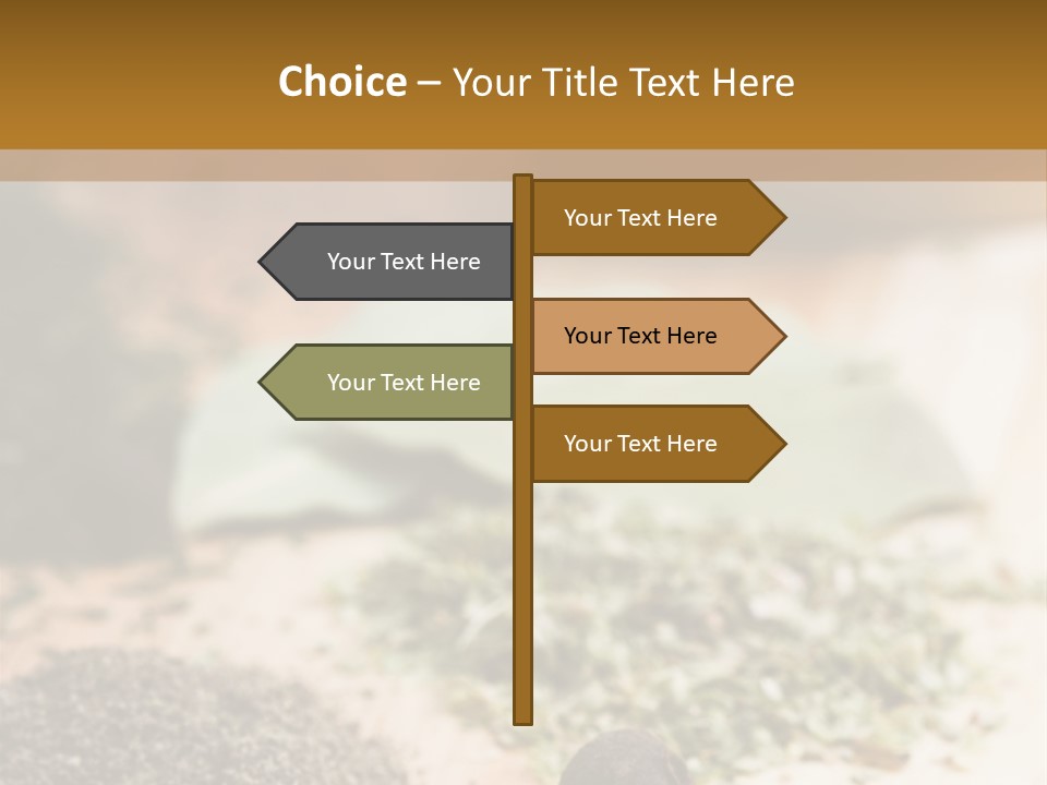 Natural Delicious Salt PowerPoint Template