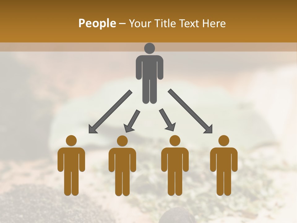 Natural Delicious Salt PowerPoint Template