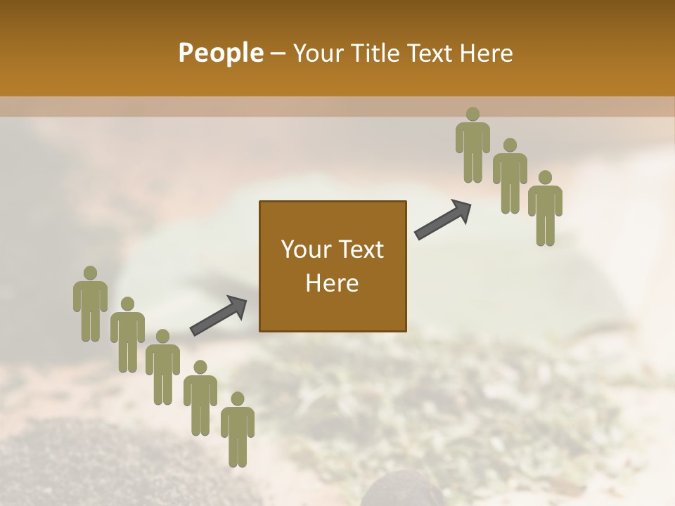 Natural Delicious Salt PowerPoint Template