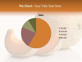 Cantaloupe White Background Organic PowerPoint Template