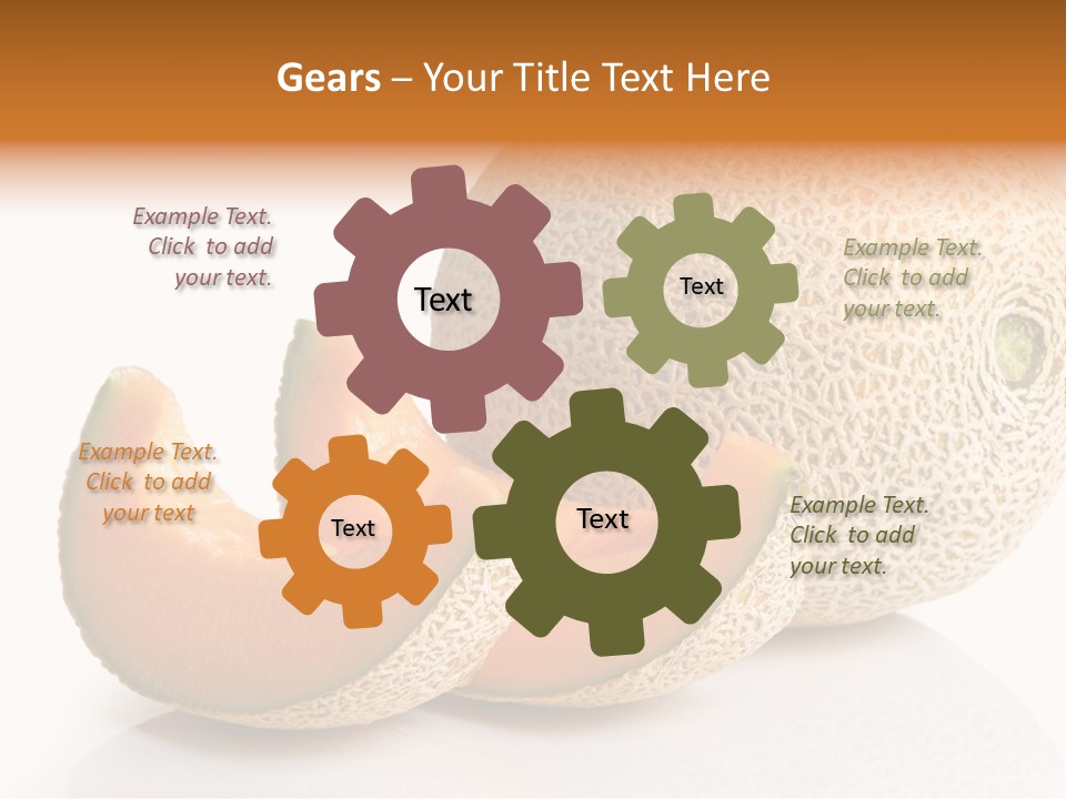 Cantaloupe White Background Organic PowerPoint Template