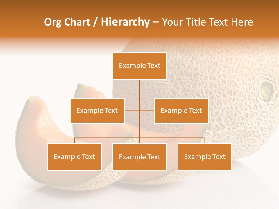 Cantaloupe White Background Organic PowerPoint Template