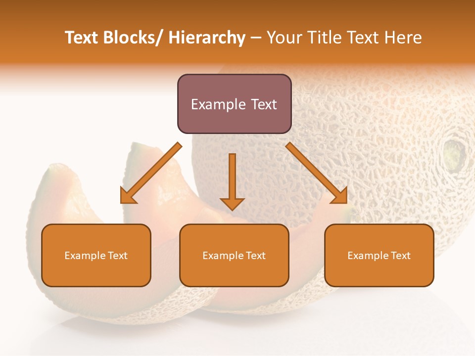 Cantaloupe White Background Organic PowerPoint Template