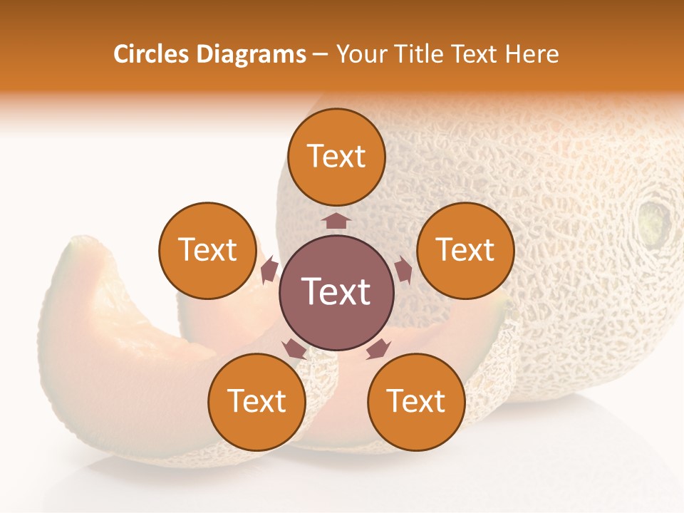 Cantaloupe White Background Organic PowerPoint Template