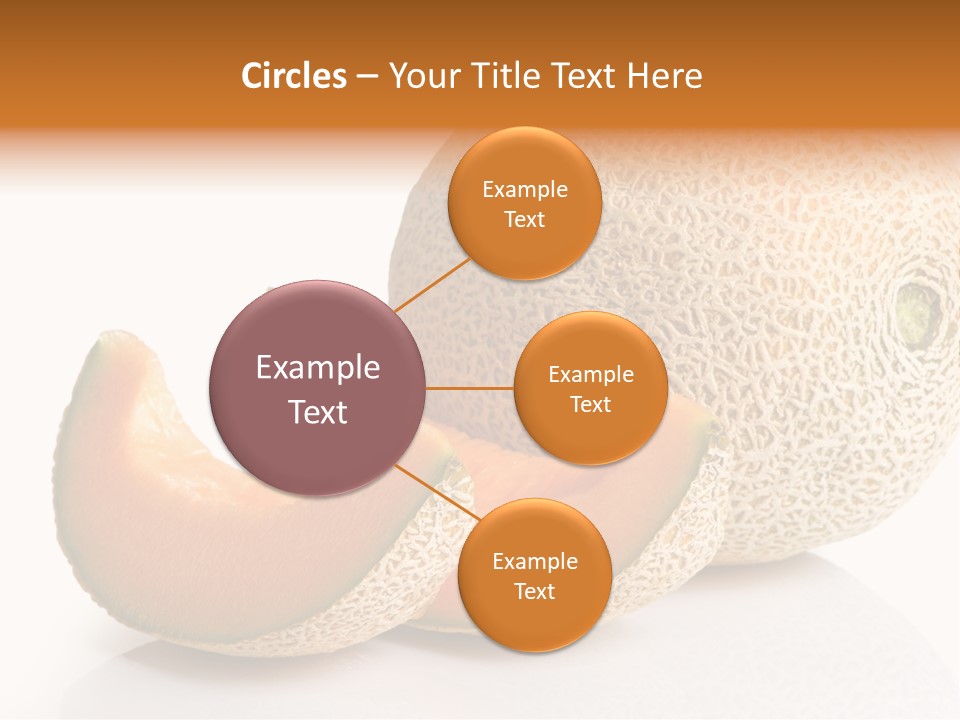 Cantaloupe White Background Organic PowerPoint Template