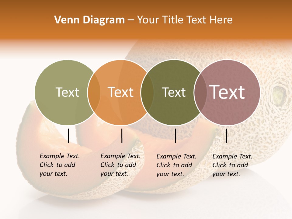 Cantaloupe White Background Organic PowerPoint Template