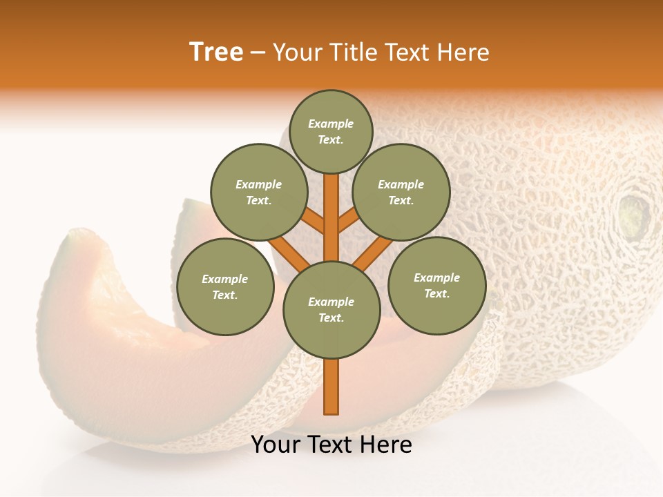 Cantaloupe White Background Organic PowerPoint Template