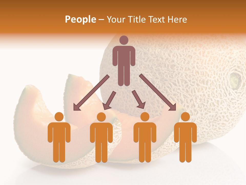 Cantaloupe White Background Organic PowerPoint Template