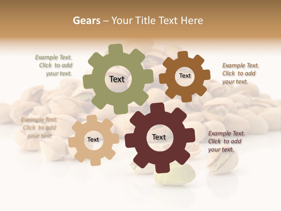 Peeled Nut Isolated PowerPoint Template