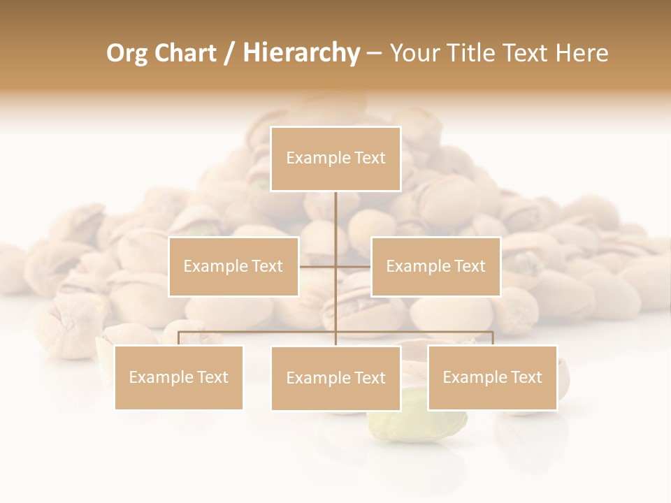 Peeled Nut Isolated PowerPoint Template