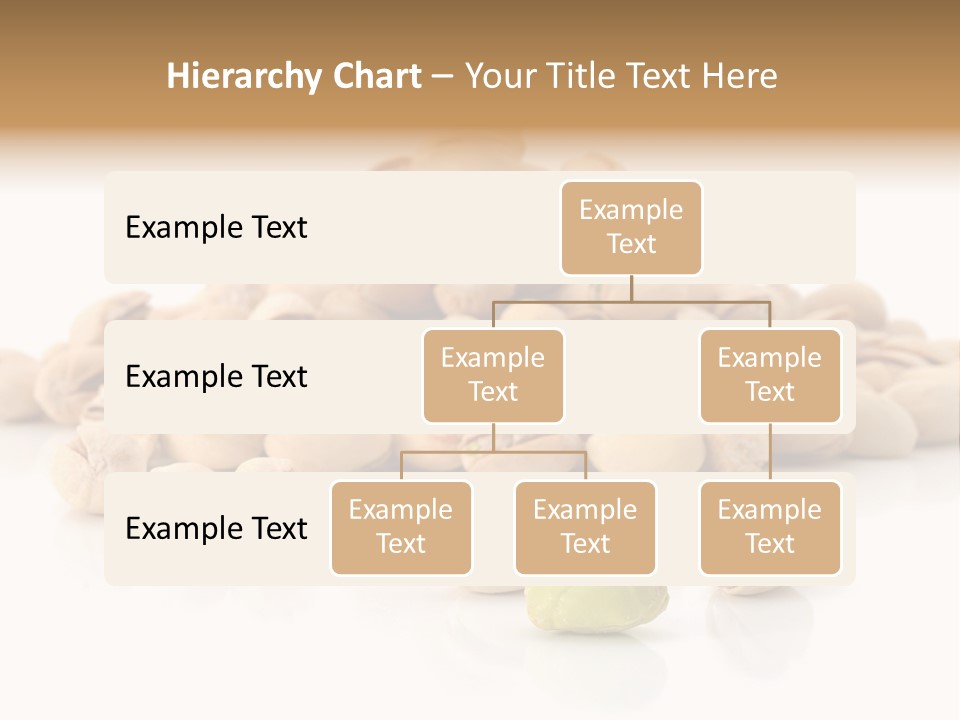 Peeled Nut Isolated PowerPoint Template