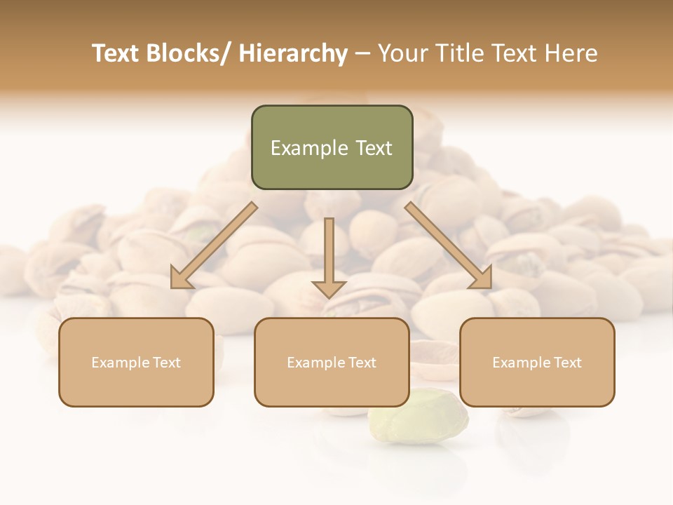 Peeled Nut Isolated PowerPoint Template
