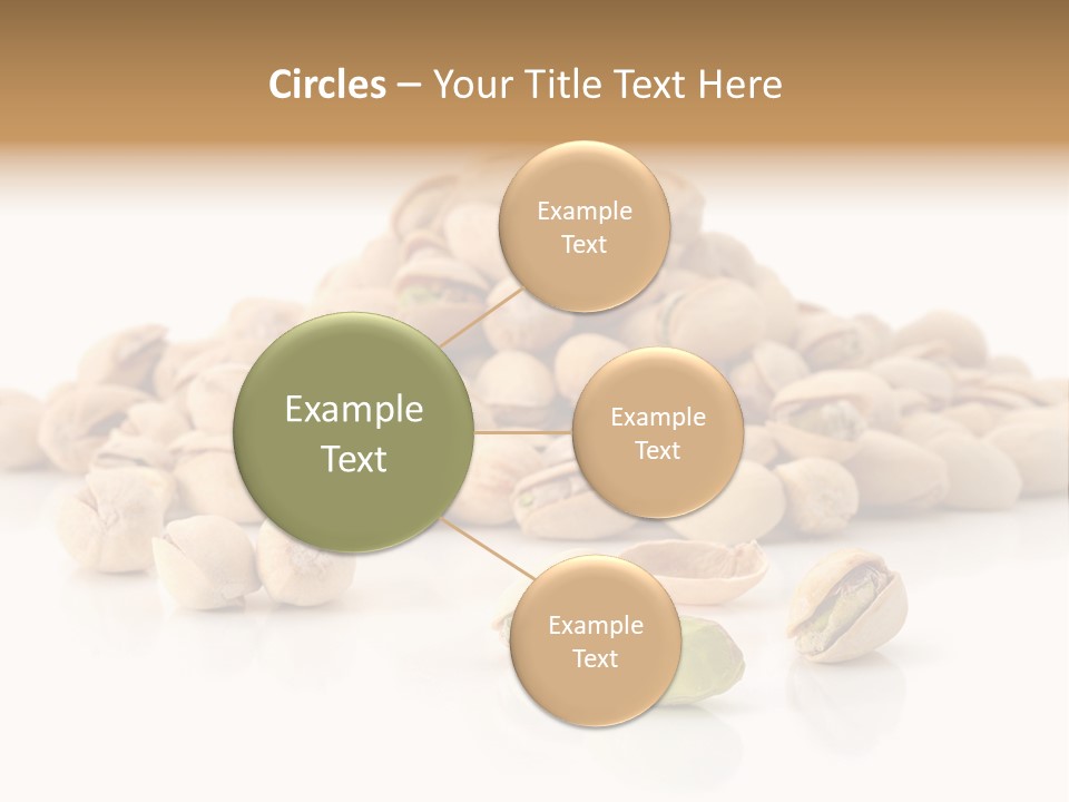 Peeled Nut Isolated PowerPoint Template