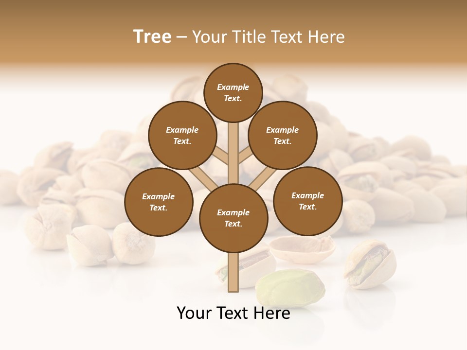 Peeled Nut Isolated PowerPoint Template