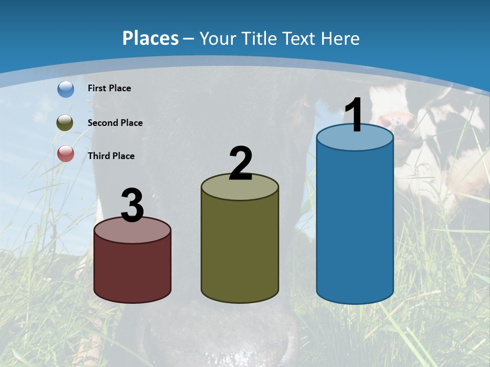 Ranch Cow Land PowerPoint Template