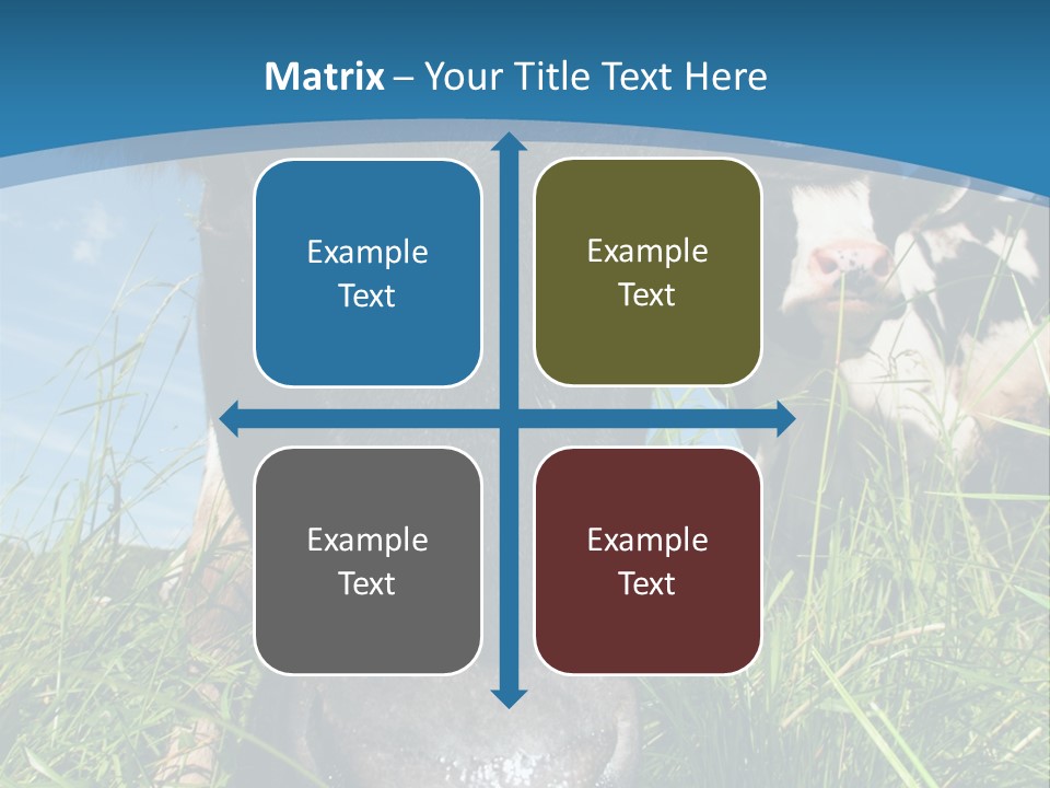 Ranch Cow Land PowerPoint Template
