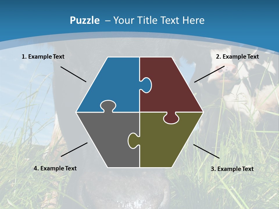 Ranch Cow Land PowerPoint Template