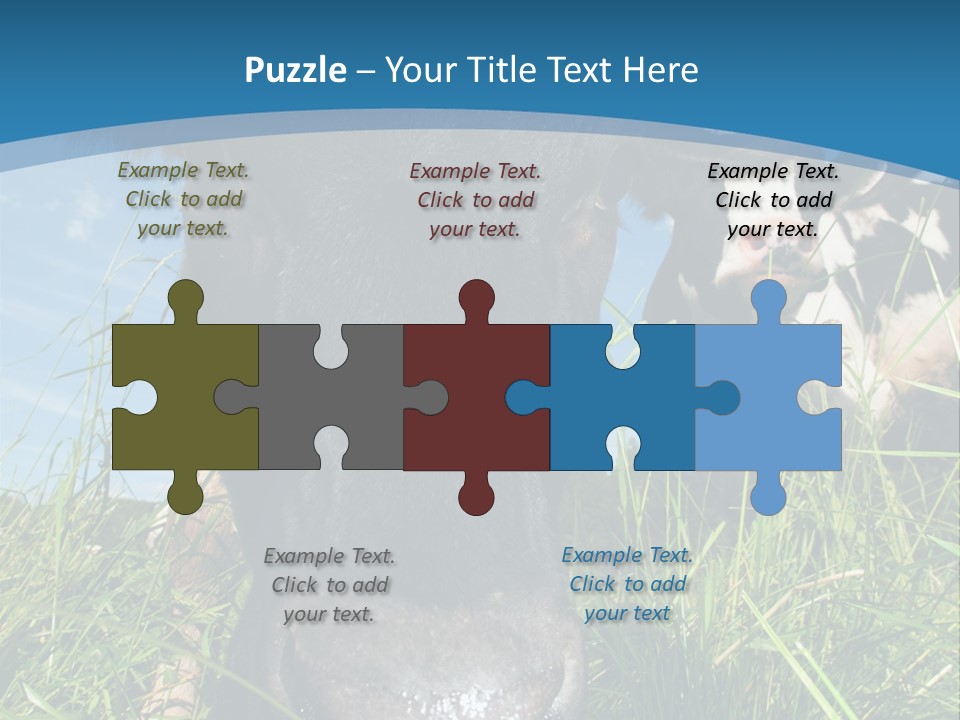 Ranch Cow Land PowerPoint Template