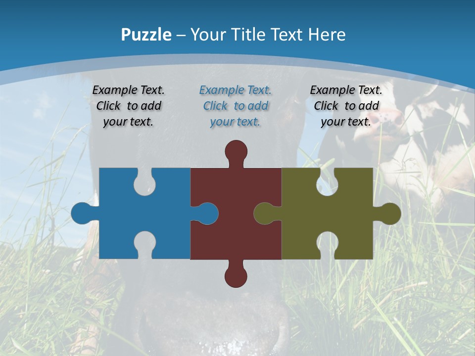 Ranch Cow Land PowerPoint Template