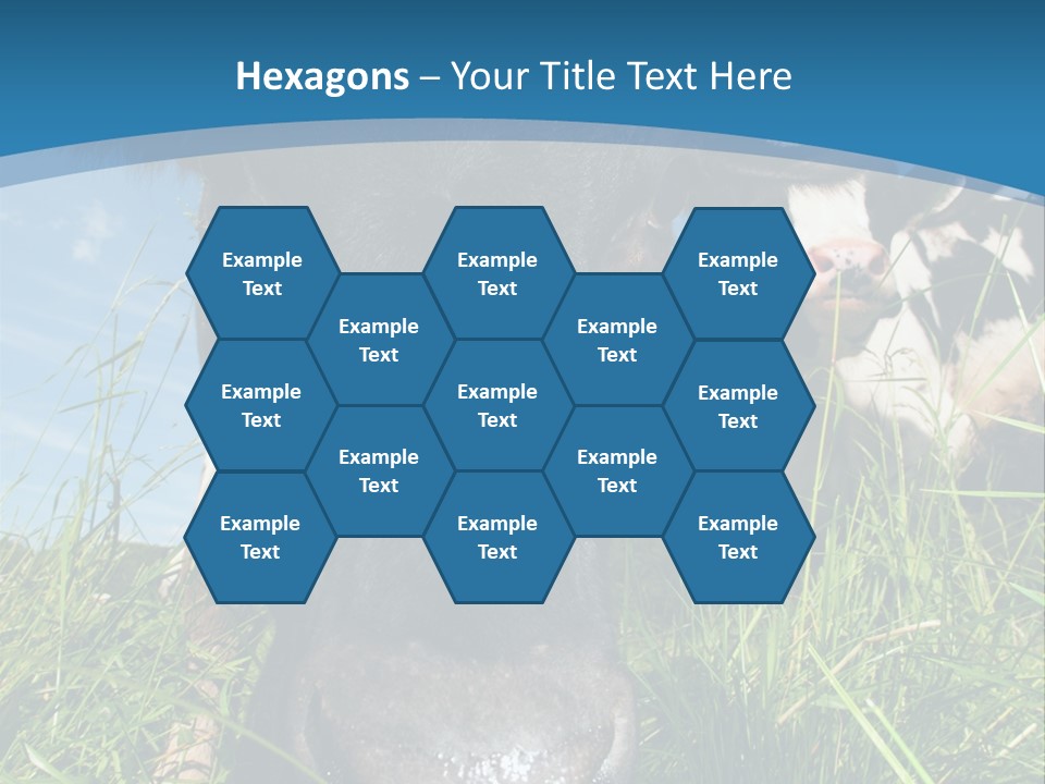 Ranch Cow Land PowerPoint Template