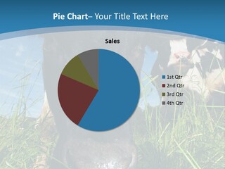 Ranch Cow Land PowerPoint Template