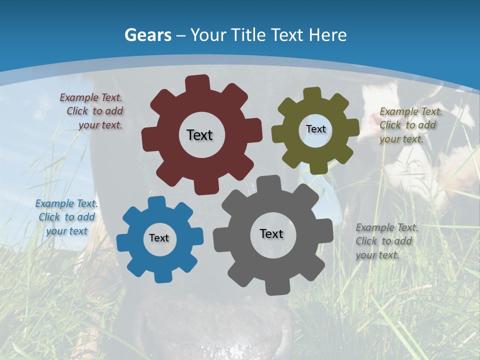 Ranch Cow Land PowerPoint Template