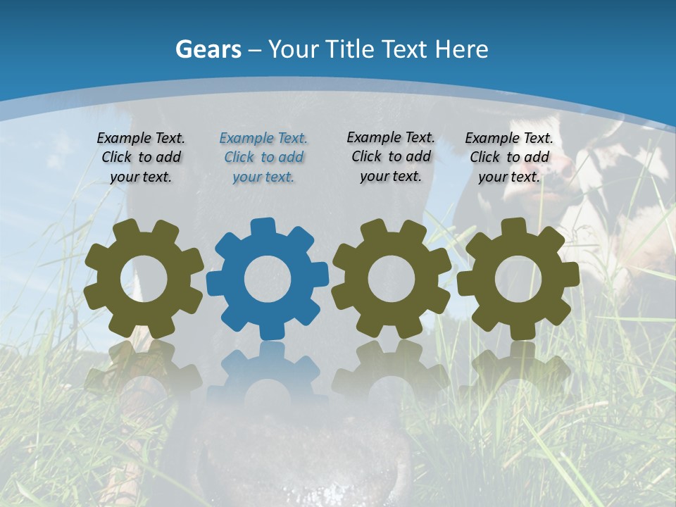 Ranch Cow Land PowerPoint Template