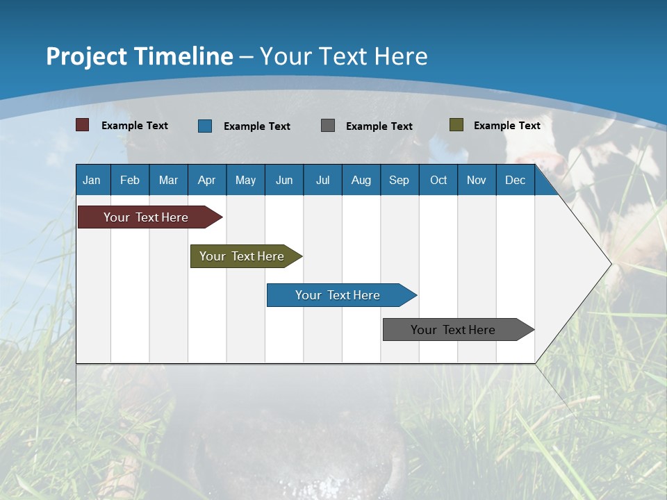 Ranch Cow Land PowerPoint Template