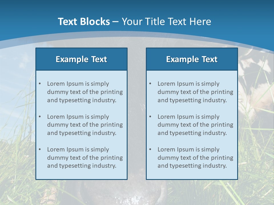 Ranch Cow Land PowerPoint Template